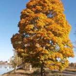 org:/landingpages/winnaars DK NO SE/7e-prize scandinavie.jpg